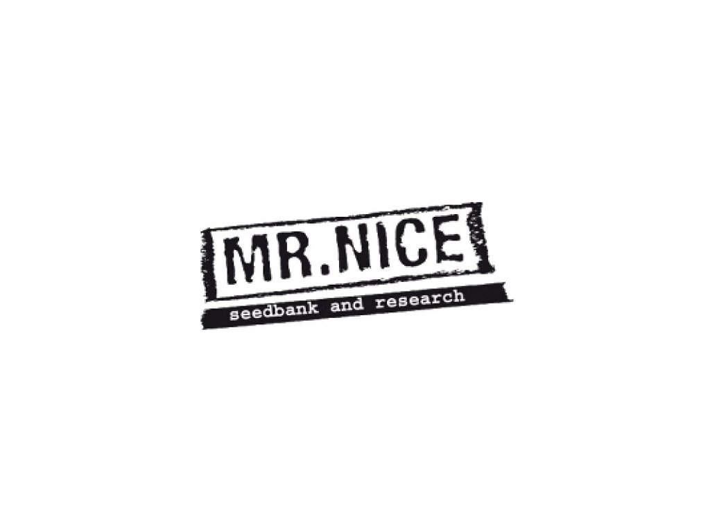Mr. Nice Seeds The Doors - NL5Hz x Haze AC, regulérní semena konopí