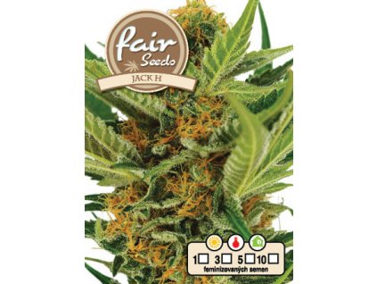 fair seeds JACK H 2020