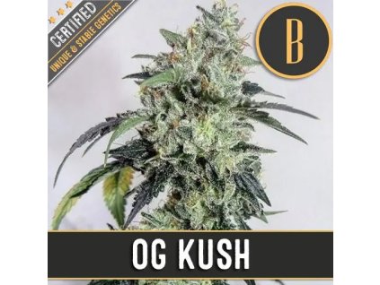 Blimburn Seeds OG´s Kush feminizovaná (Balení 9 ks)