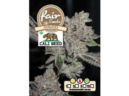 Fair Seeds CALI WEED Dolato, feminizovaná semena konopí (Balení 5 ks)