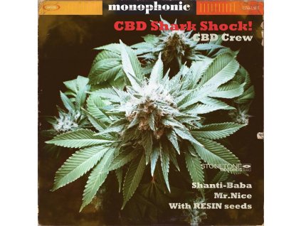 54766 cbd crew cbd sharkshock feminizovana semena konopi