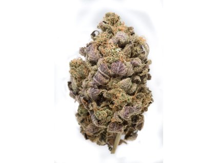 54877 dinafem blue widow feminizovana semena konopi