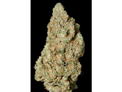 54964 dinafem critical cheese feminizovana semena konopi