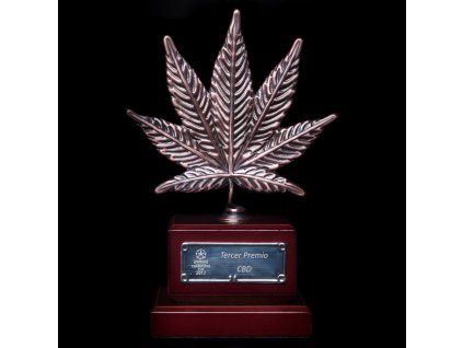 55081 dinafem og kush cbd feminizovana semena konopi