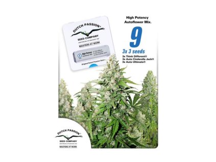 55672 dutch passion high potency auto mix feminizovana semena konopi samonakvetaci
