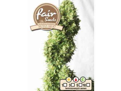 55825 1 fair seeds auto ak47 feminizovana semena konopi samonakvetaci