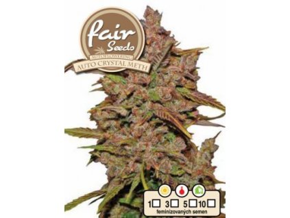 55840 1 fair seeds auto crystal meth feminizovana semena konopi samonakvetaci