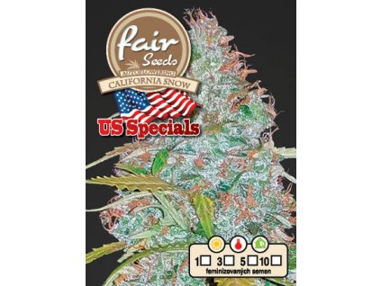 Fair Seeds Auto California Snow, feminizovaná semena konopí, samonakvétací (Balení 5 ks)