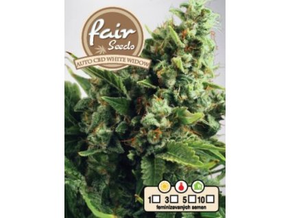 55846 1 fair seeds auto cbd white widow feminizovana semena konopi samonakvetaci