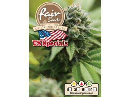 55855 1 fair seeds auto gorilla glue feminizovana semena konopi samonakvetaci