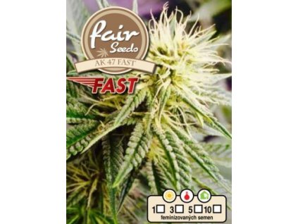 55858 1 fair seeds ak 47 fast feminizovana semena konopi fast