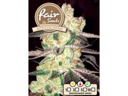 Fair Seeds Auto OG Kush, feminizovaná semena konopí, samonakvétací (Balení 5 ks)