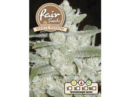 55870 1 fair seeds auto white widow feminizovana semena konopi samonakvetaci