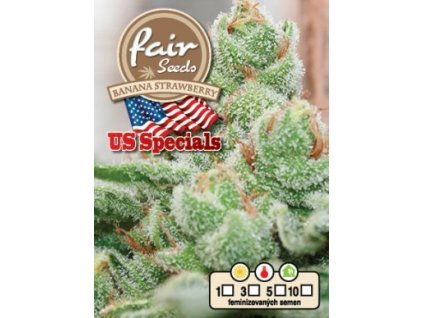 Fair Seeds Banana Strawberry, feminizovaná semena konopí (Balení 5 ks)