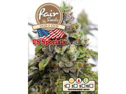 55894 1 fair seeds dos i dos feminizovana semena konopi