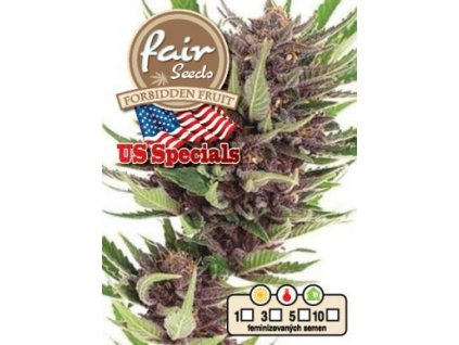 Fair Seeds Forbidden Fruit, feminizovaná semena konopí (Balení 5 ks)