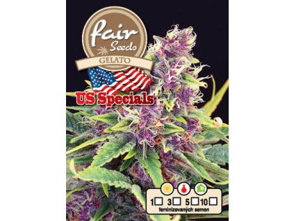 55900 1 fair seeds gelato feminizovana semena konopi