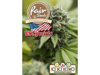 55903 1 fair seeds gorilla glue feminizovana semena mariuhany