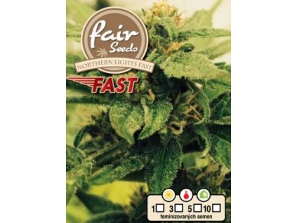 55912 1 fair seeds northern light fast feminizovana semena konopi fast