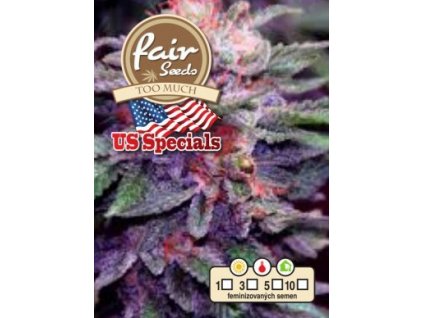 Fair Seeds Too Much, feminizovaná semena konopí (Balení 5 ks)