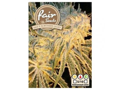 55933 1 fair seeds ak47 x northern light feminizovana semena konopi