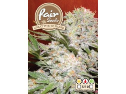 55957 1 fair seeds great white shark feminizovana semena mariuhany