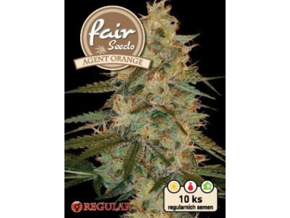 Fair Seeds Agent Orange, regulérní semena konopí (Balení 10 ks)