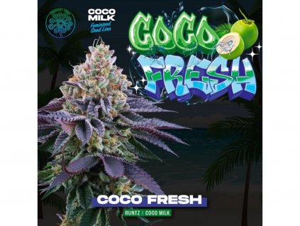 Perfect Tree Seeds, Coco Fresh, feminized, 6ks