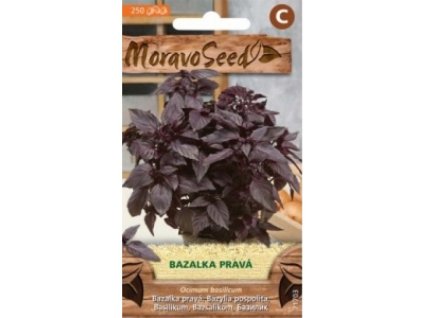 66873 bazalka prava cervena