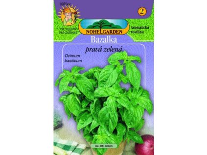 66885 bazalka zelena