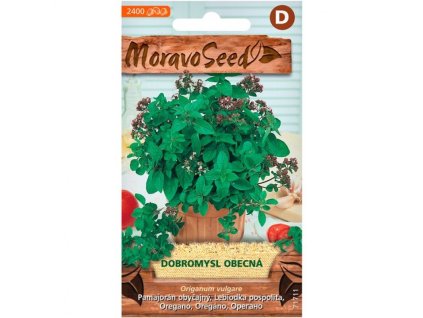 66891 dobromysl obecna origanum vulgare