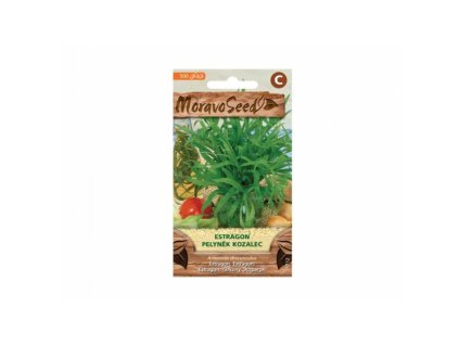 66894 estragon pelynek kozalec artemisia dracunculus