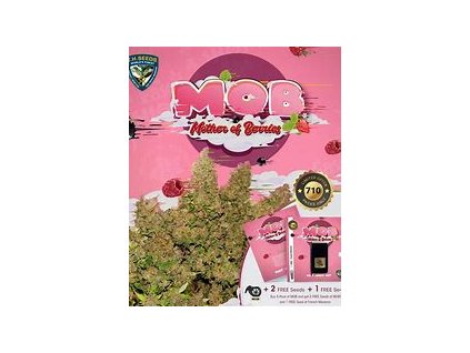 67146 t h seeds mob cake regular