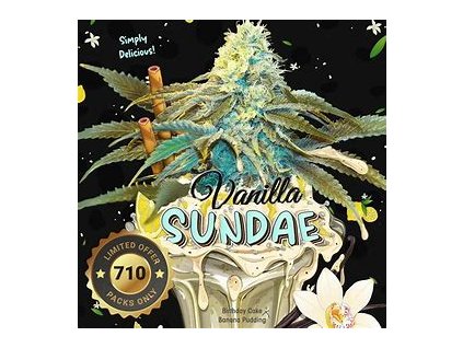 67179 t h seeds 710 limited pack vanilla sundae feminized