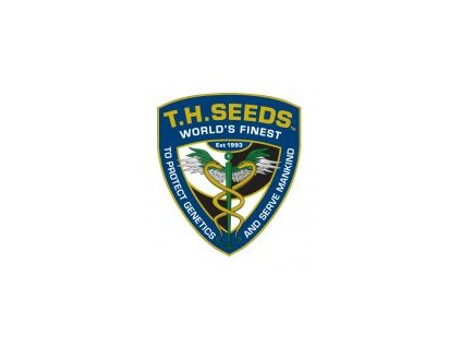 67182 t h seeds wy kiki limited pack 710 pink panties x banana candy kush feminized