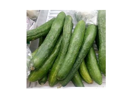67302 okurka salatova sherpa f1 cucumis sativus l