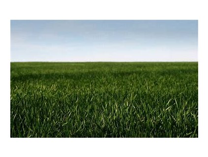 67494 renova 350g parkova travni smes