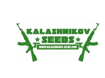 67596 kalashnikov seeds ak skunk auto feminized autoflowering