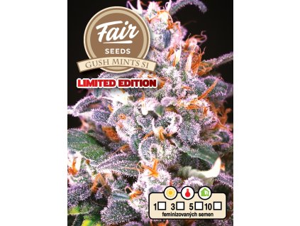 68160 fair seeds gush mints s1 feminized