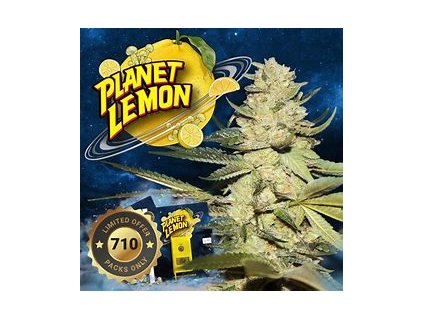 68220 t h seeds 710 limited planet lemon feminized