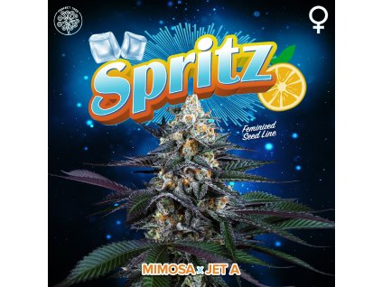 68358 perfect tree seeds spritz feminized