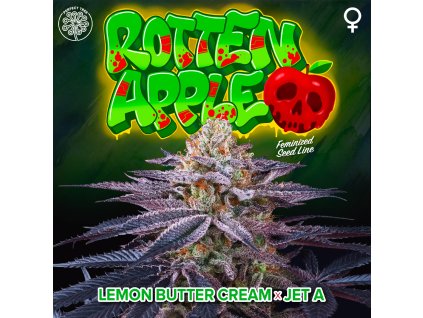 68364 perfect tree seeds rotten apple feminized