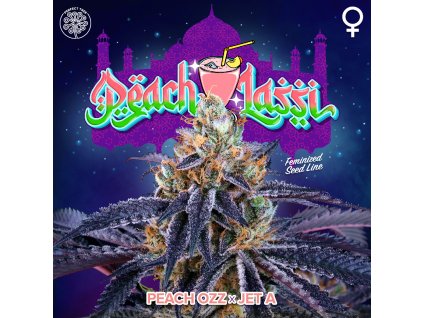 68391 perfect tree seeds peach lassi feminized