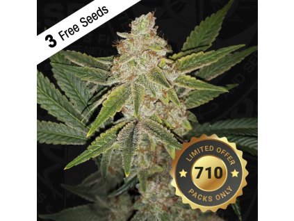 69348 t h seeds 710 limited pack hazanana feminized