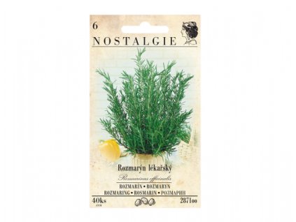 70347 rozmaryn lekarsky rosmarinus officinalis