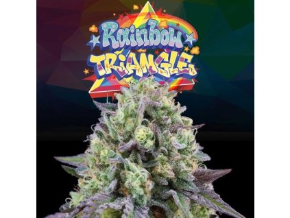 70656 perfect tree seeds rainbow triangle feminized