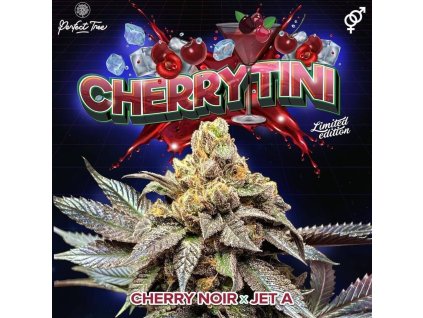 70662 perfect tree seeds cherrytini s1 feminized