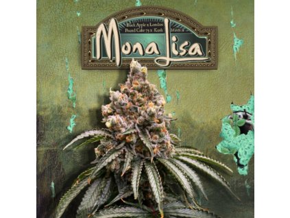70842 t h seeds mona lisa feminized special pack