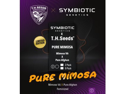 70860 t h seeds x symbiotic pure mimosa feminized