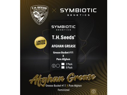 70869 t h seeds x symbiotic afghan grease feminized
